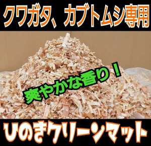 送料無料☆カブトムシ、クワガタの成虫飼育専用☆針葉樹クリーンマット☆ケース内が明るくなり生体が目立つ！ダニ、コバエも湧かなくなる