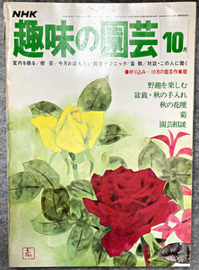 NHK 趣味の園芸 昭和52年 10月 野趣を楽しむ ガーデニング 盆栽 花壇 菜園