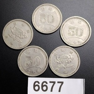 6677　昭和30年大型菊穴無し50円硬貨5枚