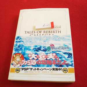 d-011 テイルズオブリバース ファイナルマニアックス カレギア見聞録 エンターブレイン 2005年発行※0