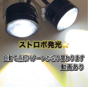 ホワイト ストロボライト バイク フラッシュ 自動車 LED 蛍ランプ 暴走ランプ 点滅 ナンバー灯 白 ストロボ