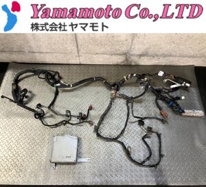 [I2744-S16]日産 R34 HR34 ER34 スカイライン GT 純正 ECU付 エンジンハーネス メイン エンジンルーム 配線 価格高騰中!! 4ドア ドリフト