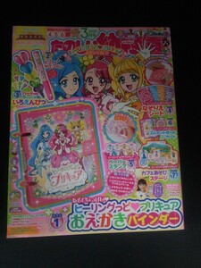 Ba4 00880 たのしい幼稚園 2020年3月号 ヒーリングっどプリキュア すみっコぐらし シルバニアファミリー 仮面ライダーゼロワン 他