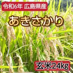 【即発送OK】農家直送【玄米】あきさかり 24kg  令和6年  広島県産