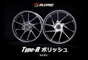 ★業販価格は問合せ下さい★新品ゲイルスピードアルミホイール前後セットT-RポリッシュCB1300SF/SB(ABS)（14-23）350/600-17　28312902