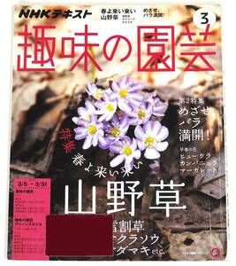 ★ リサイクル図書 ★ NHKテキスト 趣味の園芸 ○ 2017年 3月号 ○ 特集：春よ来い来い 山野草 ◇ 雪割草 ● サクラソウ ■ オダマキ etc.