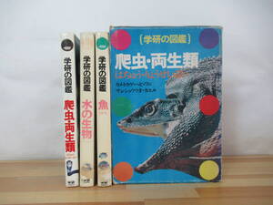 s04▽学研の図鑑3冊セット 爬虫類・両生類 魚 水の生物 カメ トカゲ ヘビ ワニ サンショウウオ カエル 学研 昭和レトロ 河村智治郎　230621