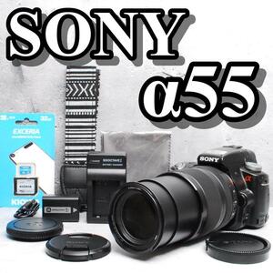 【訳アリ特価！！初心者セット＆コスパ◎】SONY ソニー α55 デジタル一眼レフカメラ レンズセット #4193