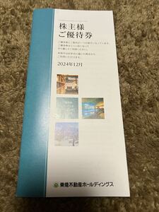 東急不動産ホールディングス　優待券セット　500株以上1,000株未満　2025年8月31日まで