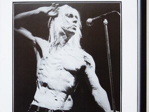 イギー・ポップ/パンクのゴッドファーザー/アート ピク額装/Iggy Pop/The Stooges/Framed New York Punk Legend/Punk Icon/ロック/額付