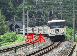 鉄道写真、645ネガデータ、143579500006、185系（C5編成）、特急踊り子号、JR東海道本線、、根府川～早川、2005.02.24、（4287×3139）