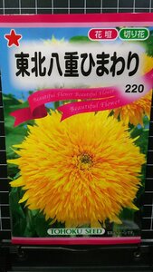 ３袋セット 東北 八重 ひまわり 向日葵 種 郵便は送料無料