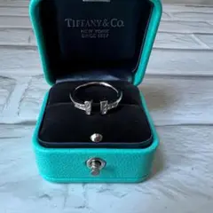 Tiffany & Co. ファニー(正規品) T字リング