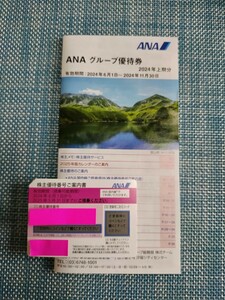 ANA株主優待券１枚+グループ優待券１冊(18枚入り)