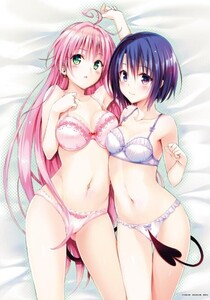 To LOVEる-とらぶる-15周年記念原画展　アートパネル　ララ・春菜