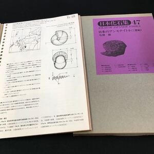 M5e-139 日本化石集47 日本のアンモナイト4(三畳紀)石橋 毅 第3期総目次 第55集-日本の中生代放散虫化石-市川浩一郎・八尾昭 その他 発行 