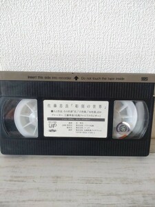 佐藤忠良 彫刻の世界 札幌テレビ放送 VHS ビデオ 札幌映像プロダクション　ビデオ　