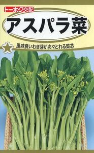 送料無料　アスパラ菜　１００粒