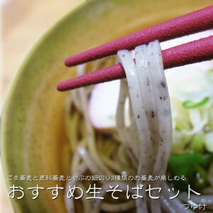 吉粋オススメ！生そばセット(ごま、更科、やぶ細切り)生蕎麦3種つゆ付【送料無料】