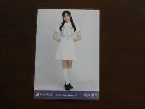 乃木坂46　向井葉月　Webshop限定　2024年9月度生写真　36th制服　ヒキ