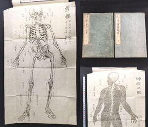 Y228 全身骨格図 絵入◆小学人身窮理書◆上下 全2冊揃 神経図 人体図 生理学 明治時代物 浮世絵UKIYOE 木版画 骨董古美術古文書和本古書