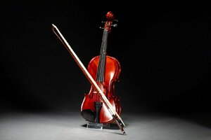 【善古堂】某有名オークション買入 弦楽器 バイオリン 共箱 詳細不明 骨董品 古美術0510-122S06　