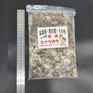 追加OK！60サイズ　送料＋冷凍クール料金　エサ用冷凍ヒナウズラ　500ｇ　送料は画像の2枚目になります。（沖縄、離島除く）