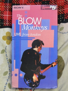 ブロウ・モンキーズ/THE BLOW MONKEYS Live from London: