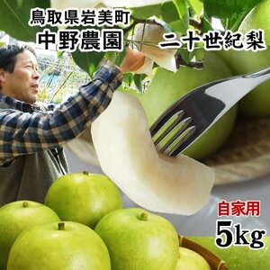 ☆二十世紀梨 鳥取県産【9月中旬～下旬に予約順に出荷】5kg箱(12-18玉入)訳あり20世紀なしナシ205