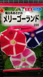 ３袋セット 曜白 系 あさがお メリーゴーランド 朝顔 種 郵便は送料無料