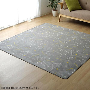 ラグ カーペット ホットカーペットカバー 『WSミリオン　RUG』グレー約200×250cm 9809982 /a