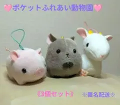 【ポケットふれあい動物園】マスコット・てのりぬいぐるみ☆3個セット