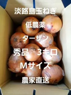 淡路島 玉ねぎ ターザン 秀品 3キロ Mサイズ 農家直送