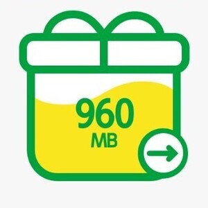 mineo パケットギフト 960MB (約0.9GB) マイネオ