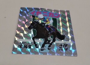 佐賀競馬　九州ダービー栄城賞　イカニカン　シール　新品未使用　匿名配送　送料込み　さがけいば　佐賀けいば　