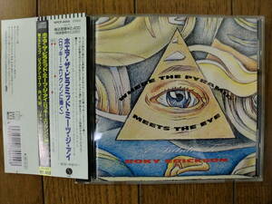 【CD】V.A. A TRIBUTE TO ROKY ERICKSON WHRE THE PYRAMID MEETS THE EYE （ロッキー・エリクソンに捧ぐ）