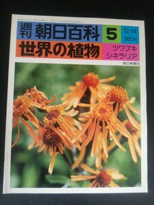 Ba1 12938 週刊朝日百科 世界の植物 5 昭和50年12/14号 ツワブキ/シネラリア/ノコギリソウ/フキ/アラスカのアルニカ/メタカラコウ/キオン