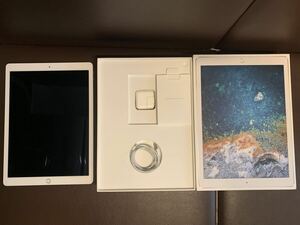 iPad Pro 12.9 第2世代 wi-fiモデル 256gb MP6H2J/A 付属品あり