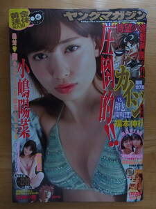 ヤングマガジン　2013 No22・23　小嶋陽菜　新川優愛　星美りか　　　　