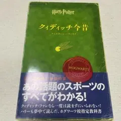 Harry Potter クィディッチ今昔