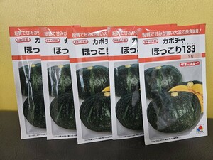 カボチャ種　ほっこり113　9粒×5袋　未開封有効期限切れ