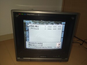 レア SONY TRINITRON トリニトロン ブラウン管 RGB CRT プロフィール 13インチ ソニー PVM BVM RGB21