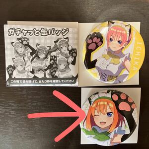 五等分の花嫁　ガチャっと缶バッジ　中野四葉