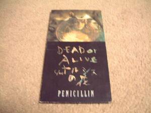 8cm屋）PENICILLIN「DEAD　or　ALIVE・ナルシスの花」8CM