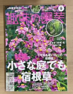 NHK趣味の園芸2024年9月号 小さな庭でも宿根草/シュウメイギク/サルビア/タネまきで美しい庭/ナシ ほか　送料185円