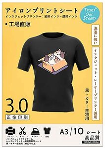 TransOurDream 真正の転写シート アイロンプリントシート 黒・カラー生地用 A3 10枚 転写紙 Tシャツ用紙 アイロンプリントべー