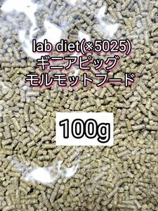 ギニアピッグ ラブダイエット 5025 モルモットフード 100g lab diet デグー チンチラ モルモット 小動物