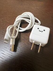 Lightning ライトニング -USB ケーブル 1m エレコム電源アダプター