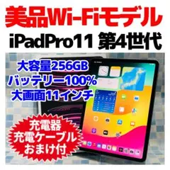 美品 Wi-Fi iPad Pro 11  第4世代 本体 256GB グレイ