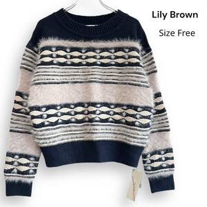 新品 LILY BROWN リリーブラウン モヘア ボーダー ニット セーター